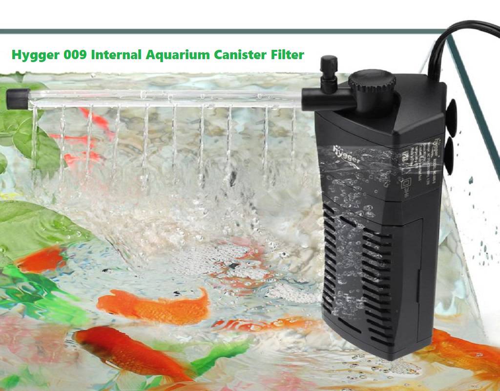 air pump in fish tank