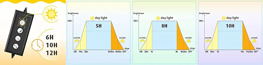 HG 018 Daylight