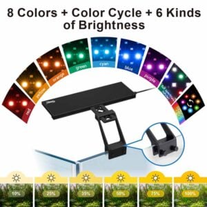 Color cycle aquarium light