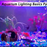 Aquarium Lighting Basics Part One
