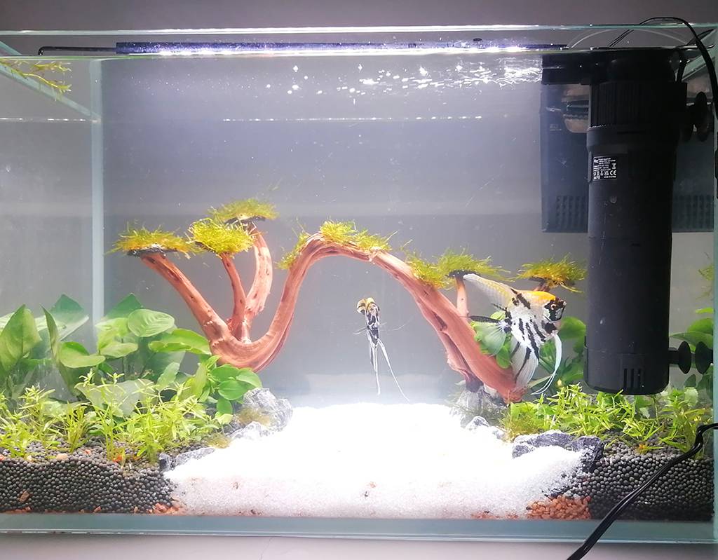 How to Build Aquascape for a 20 Gallon Tank - hygger