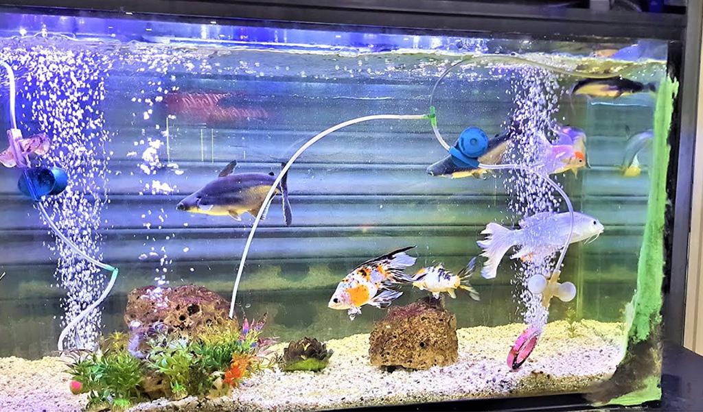 fish tank calculation