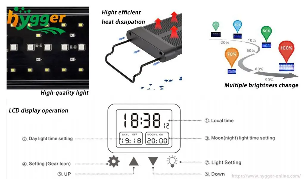 the light program