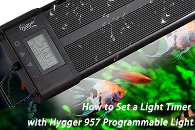 How to Set a Light Timer with Hygger 957 Programmable Light