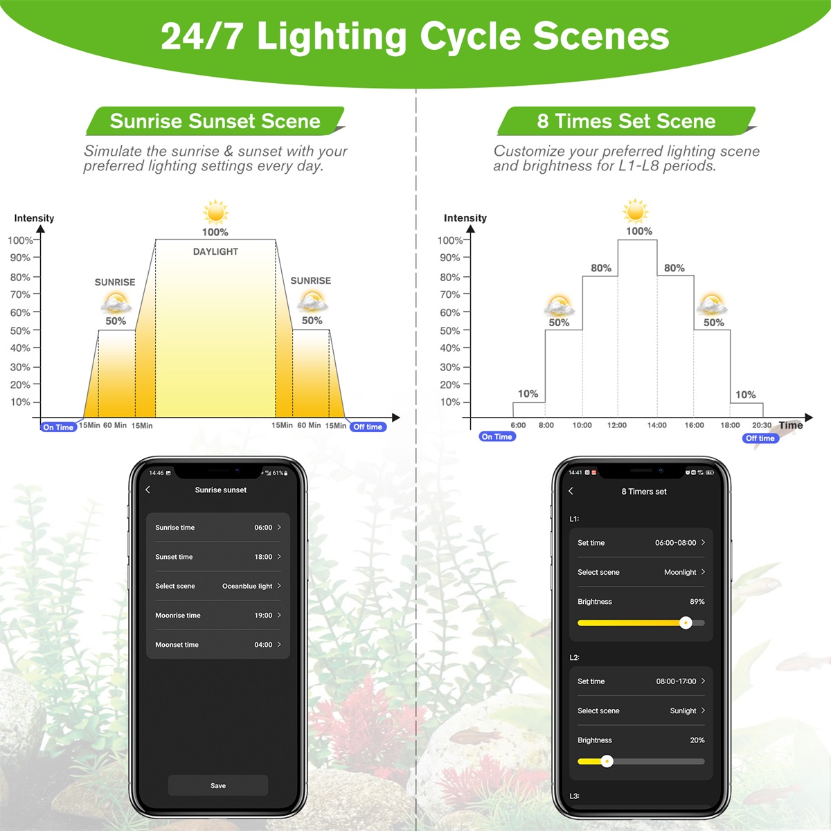 24/7 lighting cycle scenes