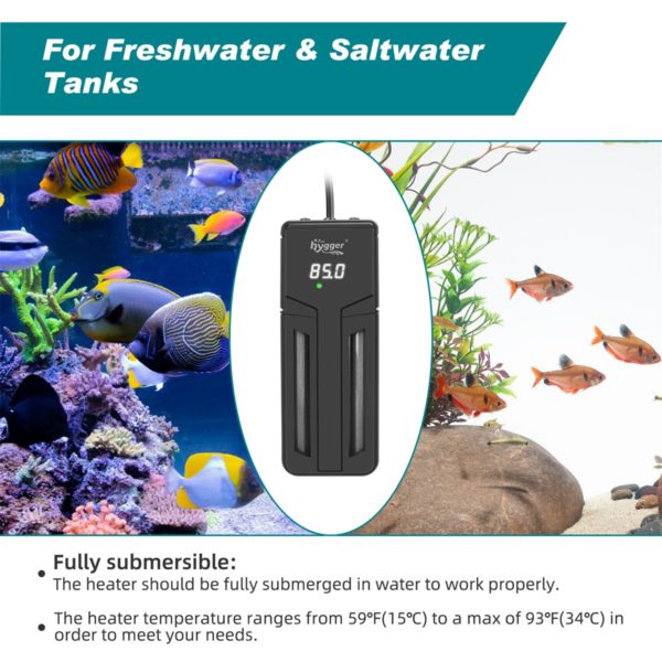 Fully submersible heater for saltwater and freshwater