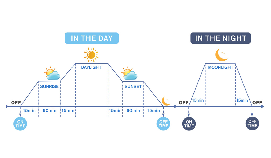 setting light intensity