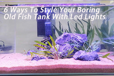 6 Ways To Style Your Boring Old Fish Tank With LED Lights