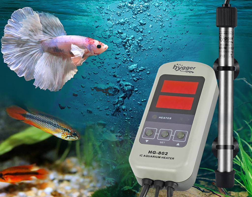 aquarium heating basics