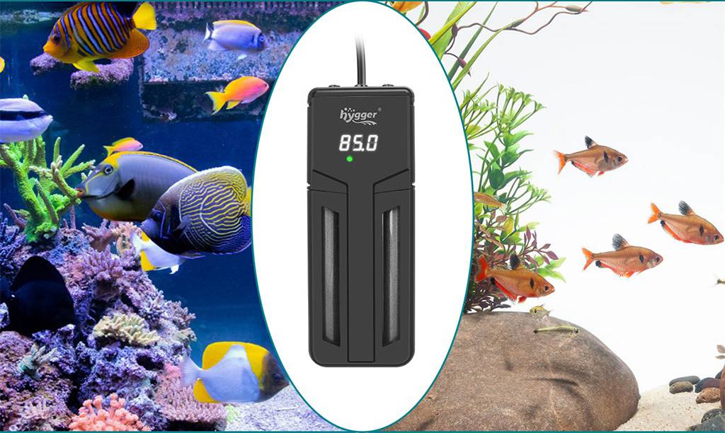 aquarium heating basics setting