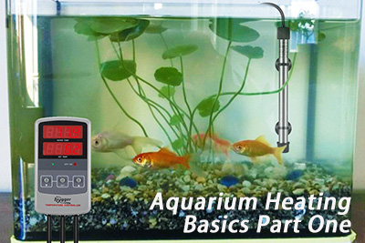 Aquarium Heating Basics Part One