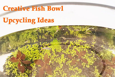 Creative Fish Bowl Upcycling Ideas