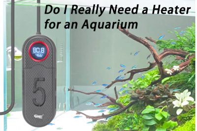 heater for an aquarium