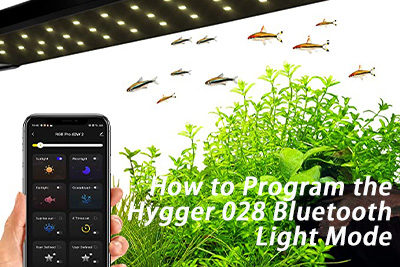 How to Program the Hygger 028 Bluetooth Light Mode