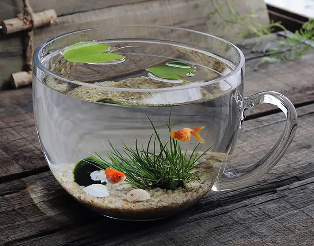 aquarium bowl Fish Tank Goldfish Bowl Fish Bowl Fish Bowl For