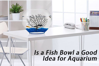 fish bowl idea