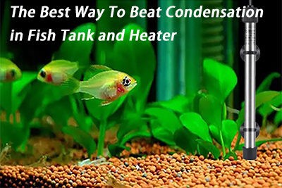 The Best Way To Beat Condensation in Fish Tank and Heater
