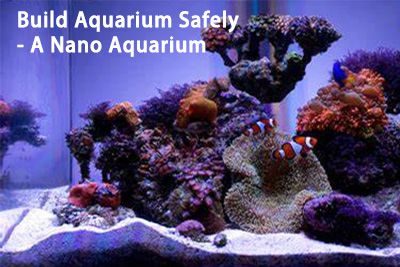 Build Aquarium Safely – A Nano Aquarium