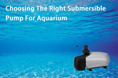 Choosing The Right Submersible Pump For Aquarium