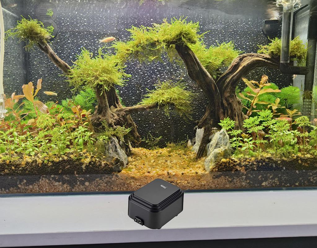 Does aquarium need air pump