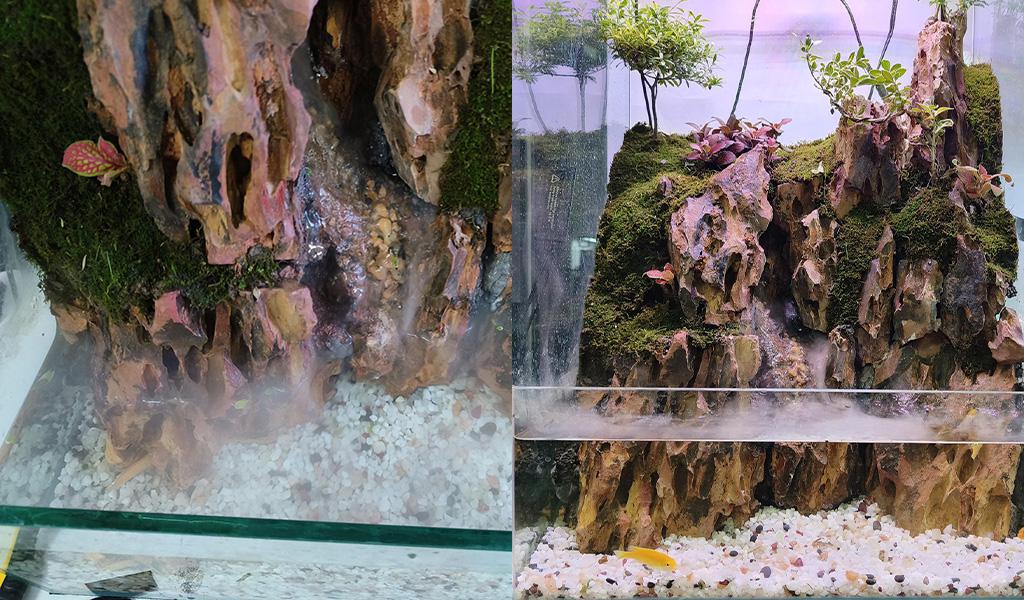 paludarium tank