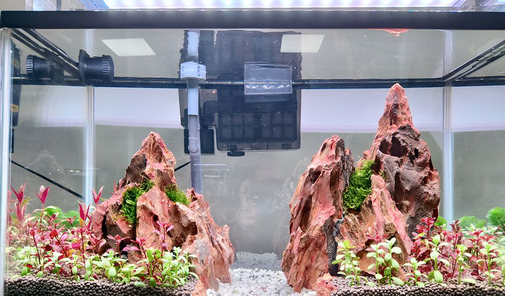 aquarium cleaner kits for beginner