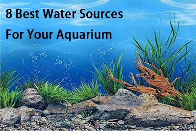 8 Best Water Sources For Your Aquarium