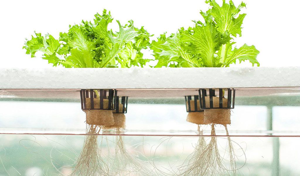 hydroponic air pump