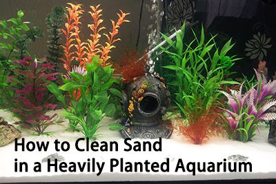 Clean sand in heavily aquarium