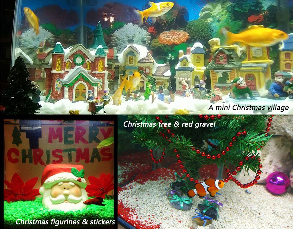 how to decorate fish tank