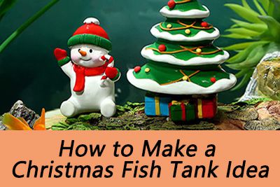 christmas fish tank idea