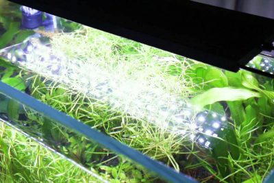 How to Program hygger Aquarium Light 016 DIY Mode