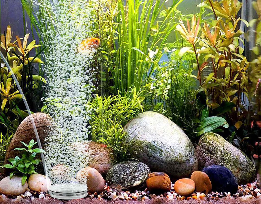 how to clean air stones