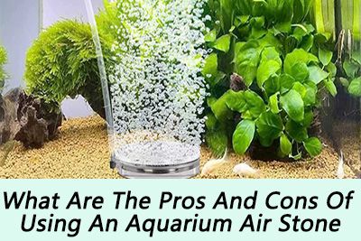 the pros and cons of air stone