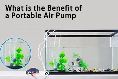 What is the Benefit of a Portable Air Pump