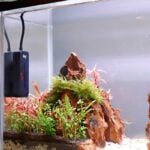 Low water level tiny heater