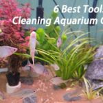 6 Best Tools For Cleaning Aquarium Glass