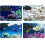 Make waves to promote water circulation