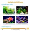 Aquarium light modes