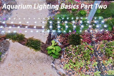 Aquarium Lighting Basics Part Two