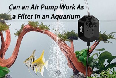 Can an Air Pump Work As a Filter in an Aquarium