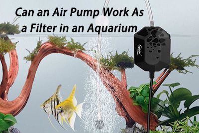 air pumps vs filters