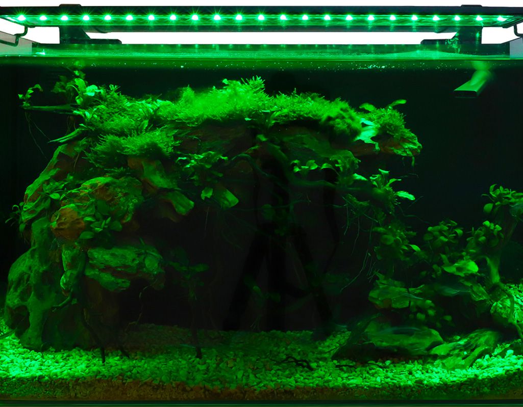 LED light differences