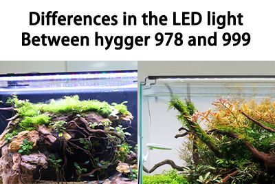 Differences in the LED light Between hygger 978 and 999