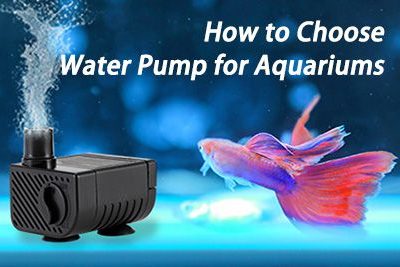 How to Choose Water Pump for Aquariums