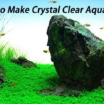 How to Make Crystal Clear Aquarium