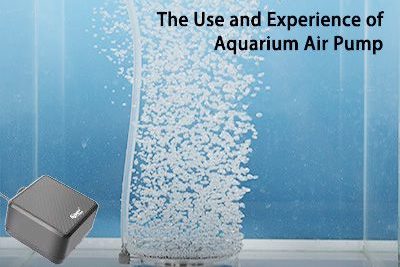 The Use and Experience of Aquarium Air Pump