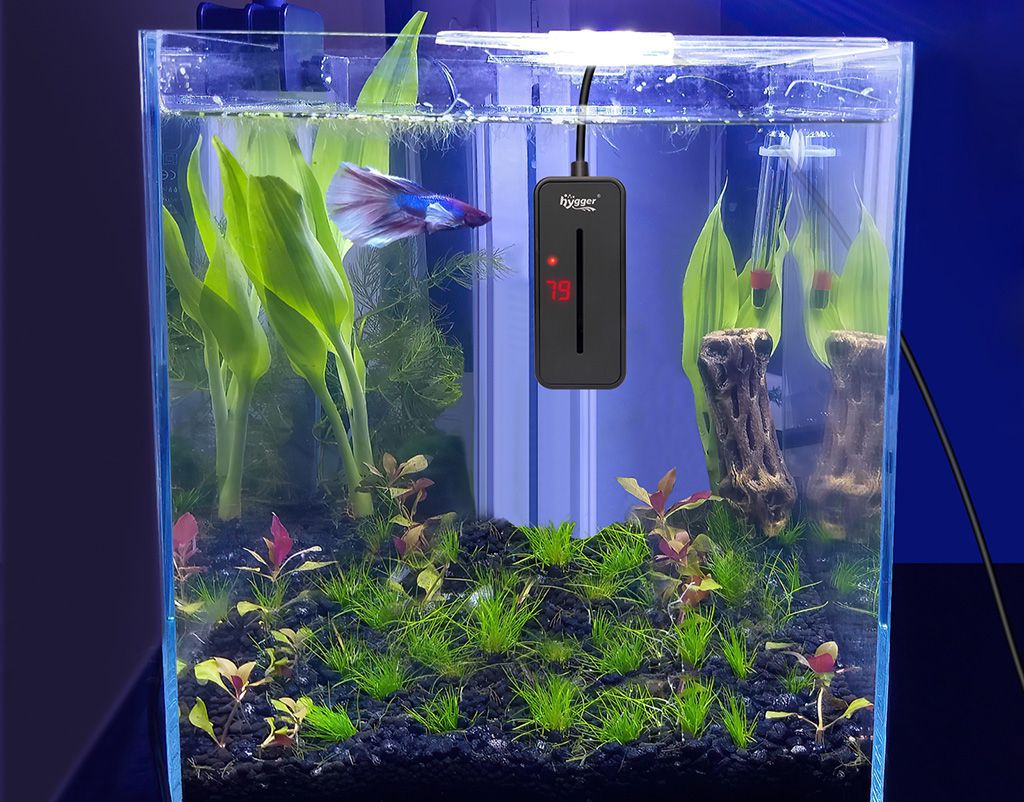 how to choose aquarium heater