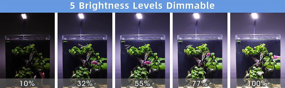 Clip on led light 5 brightness level