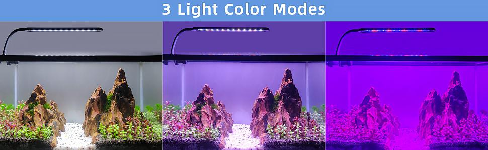 3 light color modes